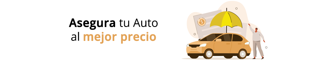 Seguro autos animate__animated animate__fadeIn